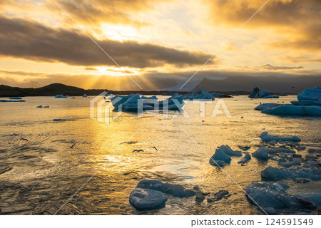 Icebergs floating in Jokulsarlon glacier lagoon lake at sunset Icebergs floating in Jokulsarlon glacier lagoon lake at sunset 124591549