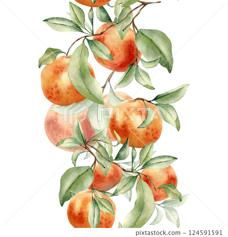 Seamless citrus tree with Grapefruits cluster on branches on vertical border isolated on white. Watercolor red ripe fruits on sprigs. Hand drawn foliage oranges on repeated texture in botanical sketch Seamless citrus tree with Grapefruits cluster on branches on vertical border isolated on white. Watercolor red ripe fruits on sprigs. Hand drawn foliage oranges on repeated texture in botanical sketch 124591591