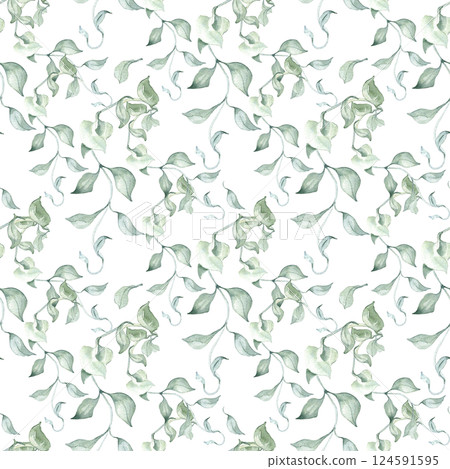 Elegant watercolor foliage pattern with vines and lianas in sage green isolated. Soft greenery seamless texture hand painted for textiles, stationery, gift wrapping, and botanical print. Elegant watercolor foliage pattern with vines and lianas in sage green isolated. Soft greenery seamless texture hand painted for textiles, stationery, gift wrapping, and botanical print. 124591595