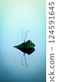 Reflection in space. Love and loneliness. The second half. Artistic concept. A lonely small tree on a stone with moss in the middle of a lake in Scandinavia. 124591645