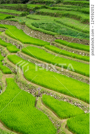In-hospital Ryoai Terraced Rice Fields In-hospital Ryoai Terraced Rice Fields 124592052