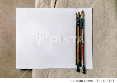 Paint Brushes on Empty White Canvas 124592181