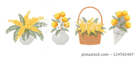 A set of compositions of mimosa bouquets in a vase, basket and envelope.Festive spring illustration. A set of compositions of mimosa bouquets in a vase, basket and envelope.Festive spring illustration. 124592407