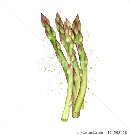 Asparagus. Hand-drawn eco food illustration isolated on white background. 124592438