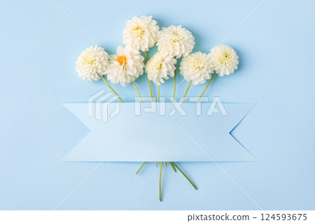 White dahlia flowers on blue background with space for text. Copy space, mockup for special offers as advertising. Flat lay. 124593675