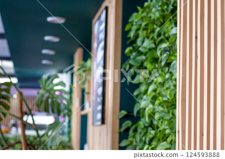 Eco-friendly interior space with modern wooden panels and green plant wall 124593888