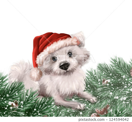 Cute fluffy white dog in Santa Hat. Hand drawn Christmas illustration with fir branches 124594042