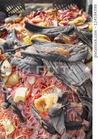 Organic waste compost pile with fruits and vegetable scraps, selective focus. 124594399