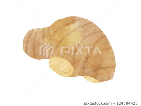 Ginger illustration in watercolor style 124594423
