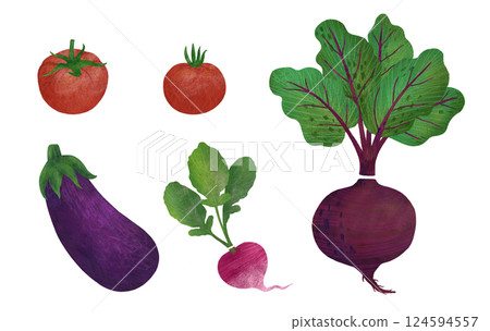 Vegetable set: beetroot, tomatoes, eggplant, radish isolated on a white background. 124594557