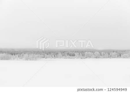 White winter landscape in prairies with field and trees in snow. White winter landscape in prairies with field and trees in snow. 124594949