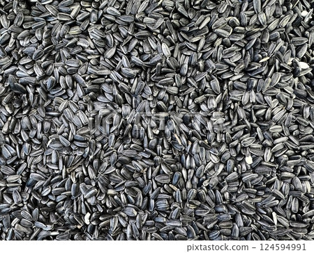 Close-Up of Sunflower Seeds in a Pile 124594991