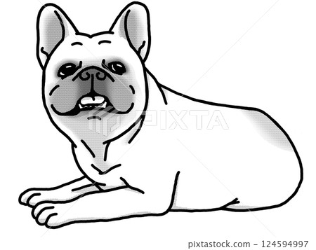 法國鬥牛犬，黑白，透明背景，狗插圖 124594997