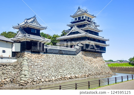 Nakatsu Castle 124595125