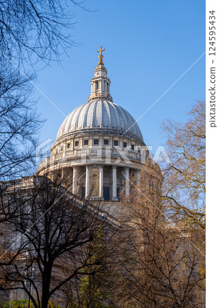 Dome of St. Paul's Cathedral rises majestically against a clear blue sky, surrounded by bare trees, showcasing its grand architectural detail. A serene moment reflecting the beauty of London. 124595434