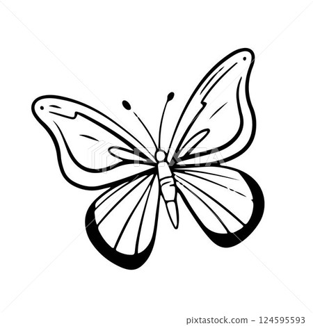 butterfly doodle hand drawn illustration . Outline drawing butterfly line clipart symbol collection. Vector illustration 124595593