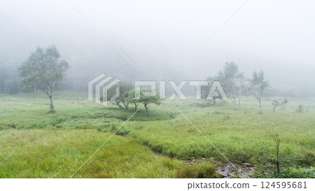 Oawara Marsh in summer, Ina City, Nagano Prefecture 124595681