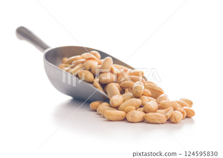 Roasted salted peanuts in scoop isolated on white background. Roasted salted peanuts in scoop isolated on white background. 124595830