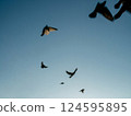Bird in flight in blue sky. Calm, freedom, peace 124595895