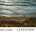 Picturesque summer landscape of sea, coast and beach. Peaceful, calm evening 124595897