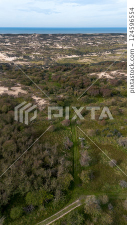 Aerial view of coastal dunes and dense forest, with winding sandy paths cutting through greenery. The landscape stretches toward a calm blue sea under a cloudy sky blending natural textures and colors 124596554