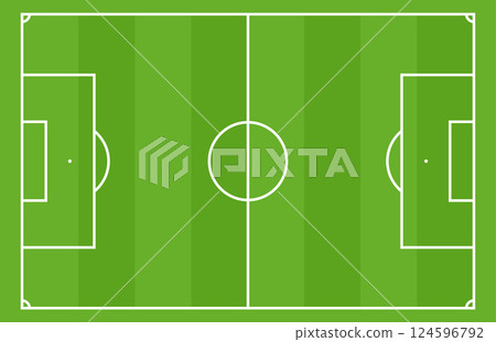 Soccer pitch with goal and playground lines. Stadium grass texture and football court. Flat vector illustration isolated on white background. 124596792