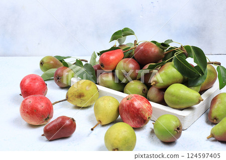 Autumn composition of apples and pears on a sunny table, thanksgiving day background, harvesting, healthy natural food concept, detox diet and body cleansing, place for text, banner for screen Autumn composition of apples and pears on a sunny table, thanksgiving day background, harvesting, healthy natural food concept, detox diet and body cleansing, place for text, banner for screen 124597405