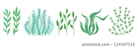 Underwater marine flora plants. Seaweed marine flora, cartoon ocean nature seaweed plants flat vector illustration set. Ocean growing algae collection 124597518