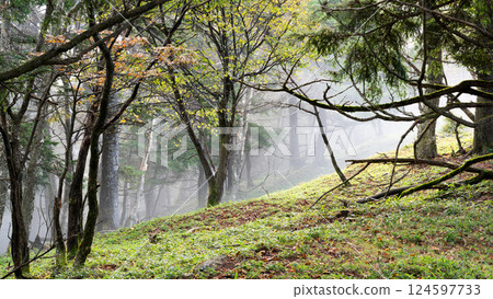Daibosatsu-rei in autumn, Koshu City, Yamanashi Prefecture 124597733