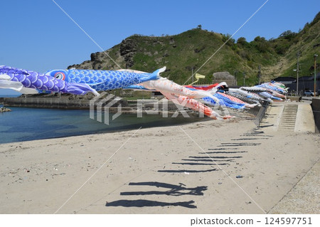 鯉魚旗在海岸遊動 124597751