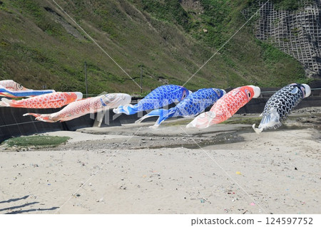 鯉魚旗在海岸遊動 124597752