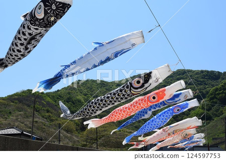 鯉魚旗在海岸遊動 124597753