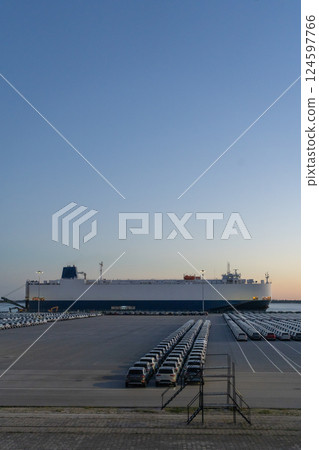 Ro-Ro Ship and New Cars on Large Parking Lot in Port 124597766