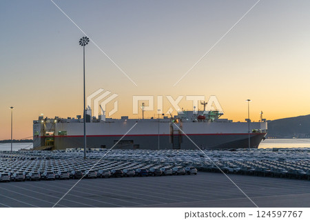 RORO Ship and New Cars on Large Parking Lot in Port RORO Ship and New Cars on Large Parking Lot in Port 124597767