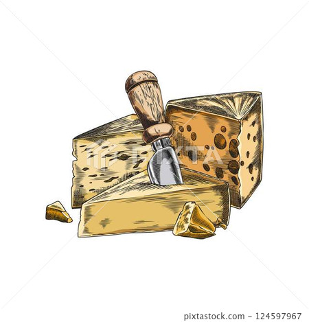 Composition of different cheeses with cheese knife vector sketch, hand drawn emmental, edam, gruyere and parmesan pieces Composition of different cheeses with cheese knife vector sketch, hand drawn emmental, edam, gruyere and parmesan pieces 124597967