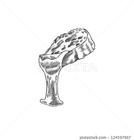 Melted cheese on bread slice vector sketch, engraved hand drawn national dish, dripping cheese on toast, hot sandwich Melted cheese on bread slice vector sketch, engraved hand drawn national dish, dripping cheese on toast, hot sandwich 124597987