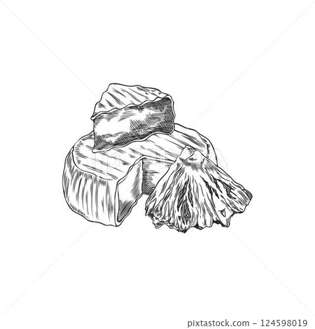 Camembert cheese with pineapple vector engraved sketch, hand drawn soft cheese and fruit pieces, milk food production Camembert cheese with pineapple vector engraved sketch, hand drawn soft cheese and fruit pieces, milk food production 124598019