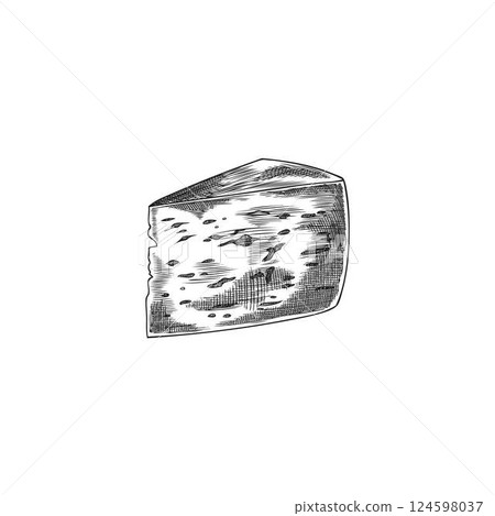 Edam cheese with holes triangle piece vector sketch, engraved hand drawn healthy milk snack, Emmental cheese with holes Edam cheese with holes triangle piece vector sketch, engraved hand drawn healthy milk snack, Emmental cheese with holes 124598037