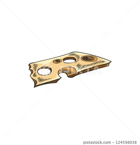 Maasdam cheese. Vector illustration of a holey piece of cheese hand drawn. 124598038