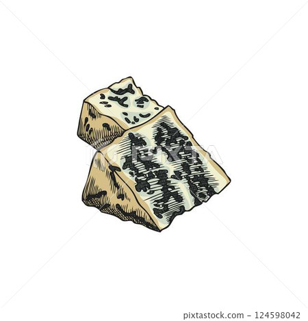 Gorgonzola cheese triangle parts vector sketch, Roquefort or blue cheese pieces with mold, healthy milk food production 124598042