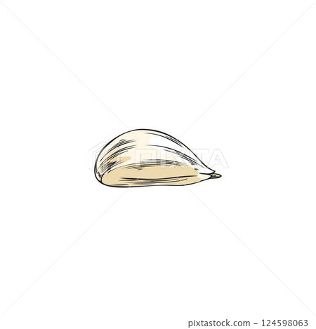 Ripe garlic head sketch vector icon, hand drawn spicy plant food, farm organic fragrant condiment ingredient, flavoring Ripe garlic head sketch vector icon, hand drawn spicy plant food, farm organic fragrant condiment ingredient, flavoring 124598063