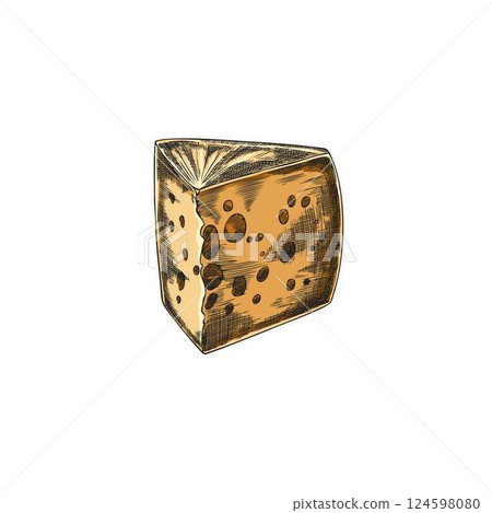 Emmental cheese with holes triangle piece vector sketch, hand drawn healthy milk snack, Edam yellow cheese with holes 124598080