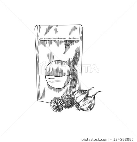 Monochrome sketch illustration of ground nutmeg packaging with dried seeds and garlic cloves. Monochrome sketch illustration of ground nutmeg packaging with dried seeds and garlic cloves. 124598095