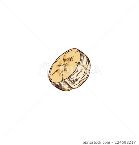 Slice of bananas hand drawn vector illustration, tropical fresh fruit piece sketch, natural ingredient for fondue, snack 124598217