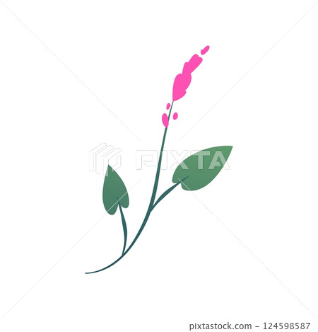 Pink flower flat vector icon, beautiful blossom flower with leaves on a stem, medical herb, aromatherapy plant 124598587