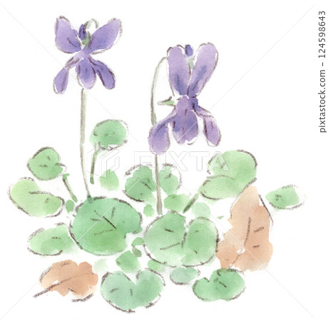 Spring flowers, watercolor illustration of purple violets 124598643