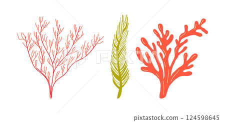 Sea Plants Underwater ocean Marine flora Set. Design for banner poster template invitation card. Vector illustration. Sea Plants Underwater ocean Marine flora Set. Design for banner poster template invitation card. Vector illustration. 124598645