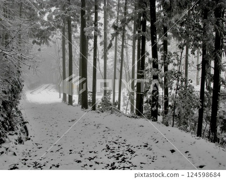 春雪猿投山林道風景 124598684