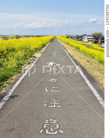 A carpet of rapeseed flowers 58km from the sea_Chiba_Sekijuku A carpet of rapeseed flowers 58km from the sea_Chiba_Sekijuku 124598708