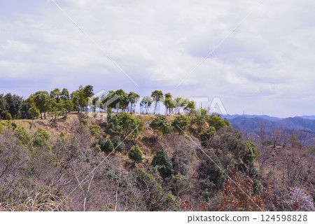 兵庫縣佐用町利神城 124598828